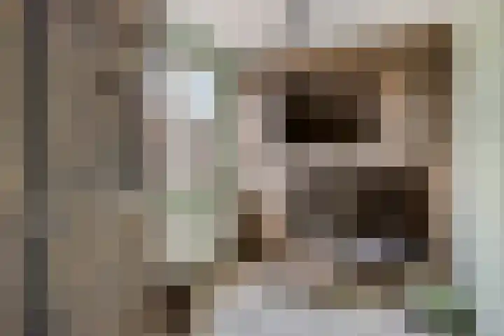 Kuypershof 12 Kessel thumbnail 23