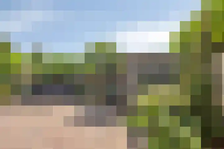 Kuypershof 12 Kessel thumbnail 30