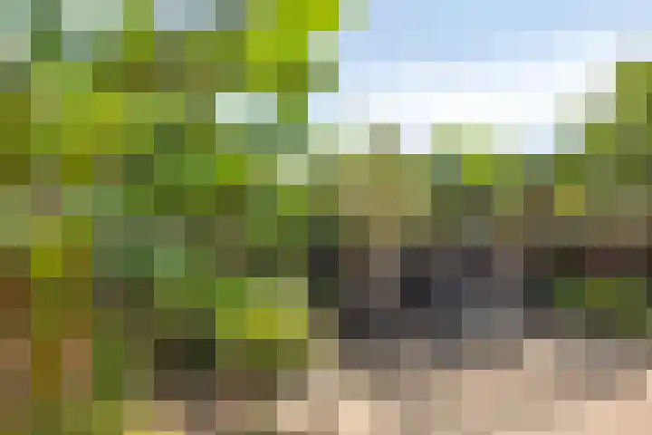 Kuypershof 12 Kessel thumbnail 31