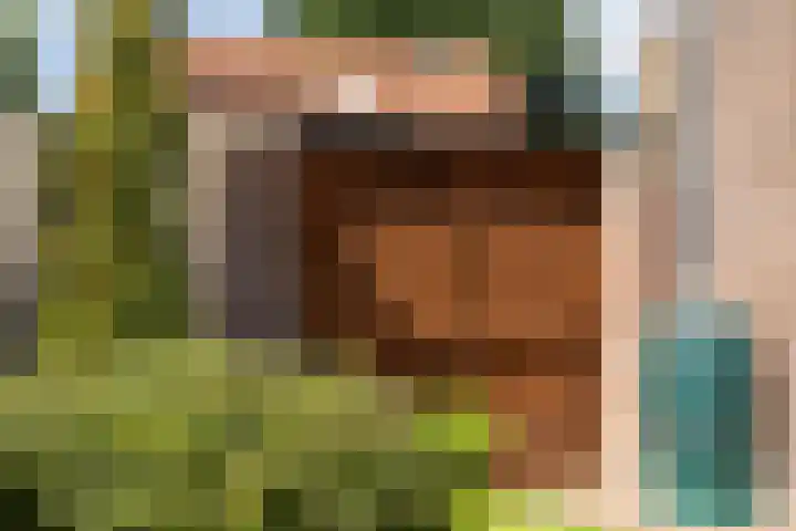 Kuypershof 12 Kessel thumbnail 33