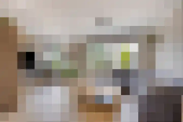 Kuypershof 12 Kessel thumbnail 6