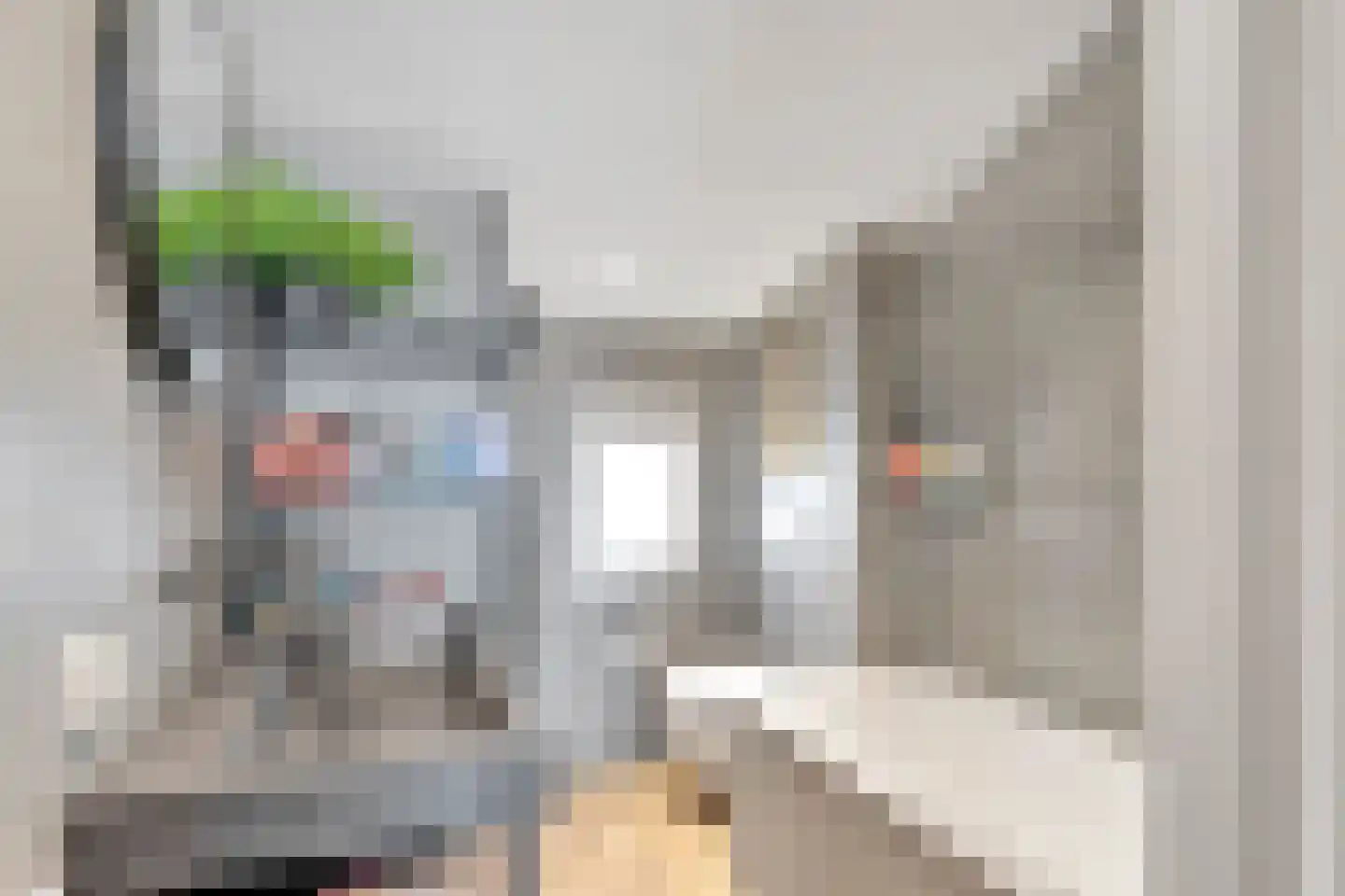Kuyperstraat 10 Naaldwijk thumbnail 24