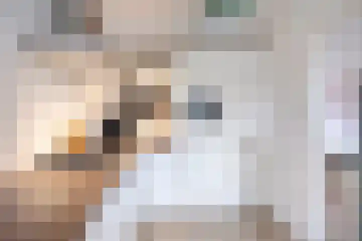 Kuyperstraat 10 Son en Breugel thumbnail 10