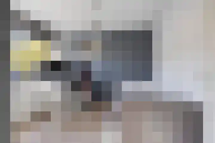 Kuyperstraat 10 Son en Breugel thumbnail 18