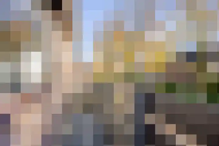 Kuyperstraat 10 Son en Breugel thumbnail 20