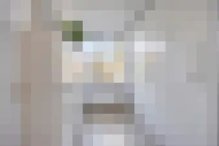 Kuyperstraat 10 Son en Breugel thumbnail 21