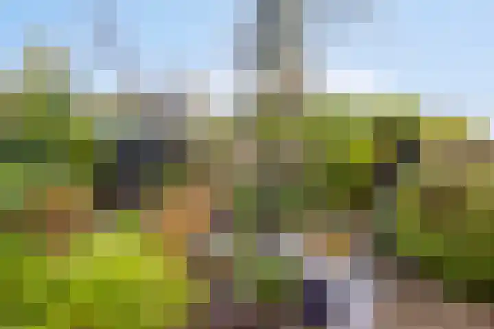 Kuyperstraat 10 Son en Breugel thumbnail 27
