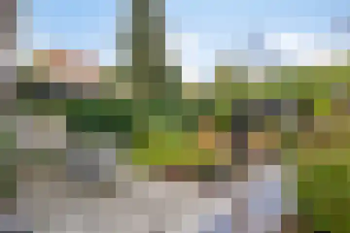Kuyperstraat 10 Son en Breugel thumbnail 28