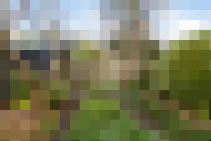 Kuyperstraat 10 Son en Breugel thumbnail 29