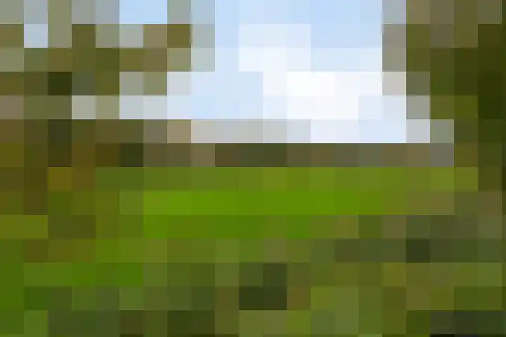 Kuyperstraat 10 Son en Breugel thumbnail 36