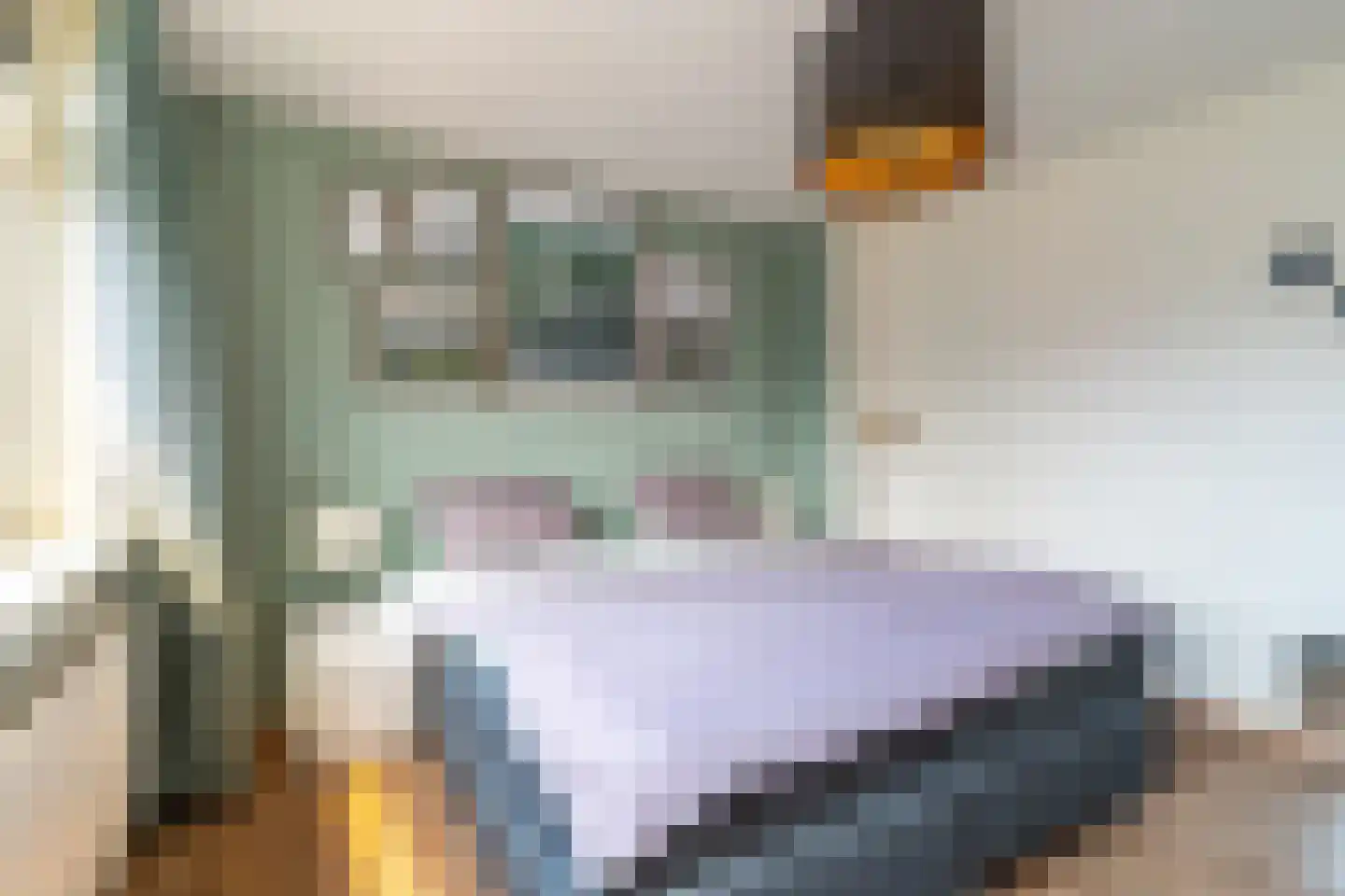 Kuyperstraat 22 Nunspeet thumbnail 26