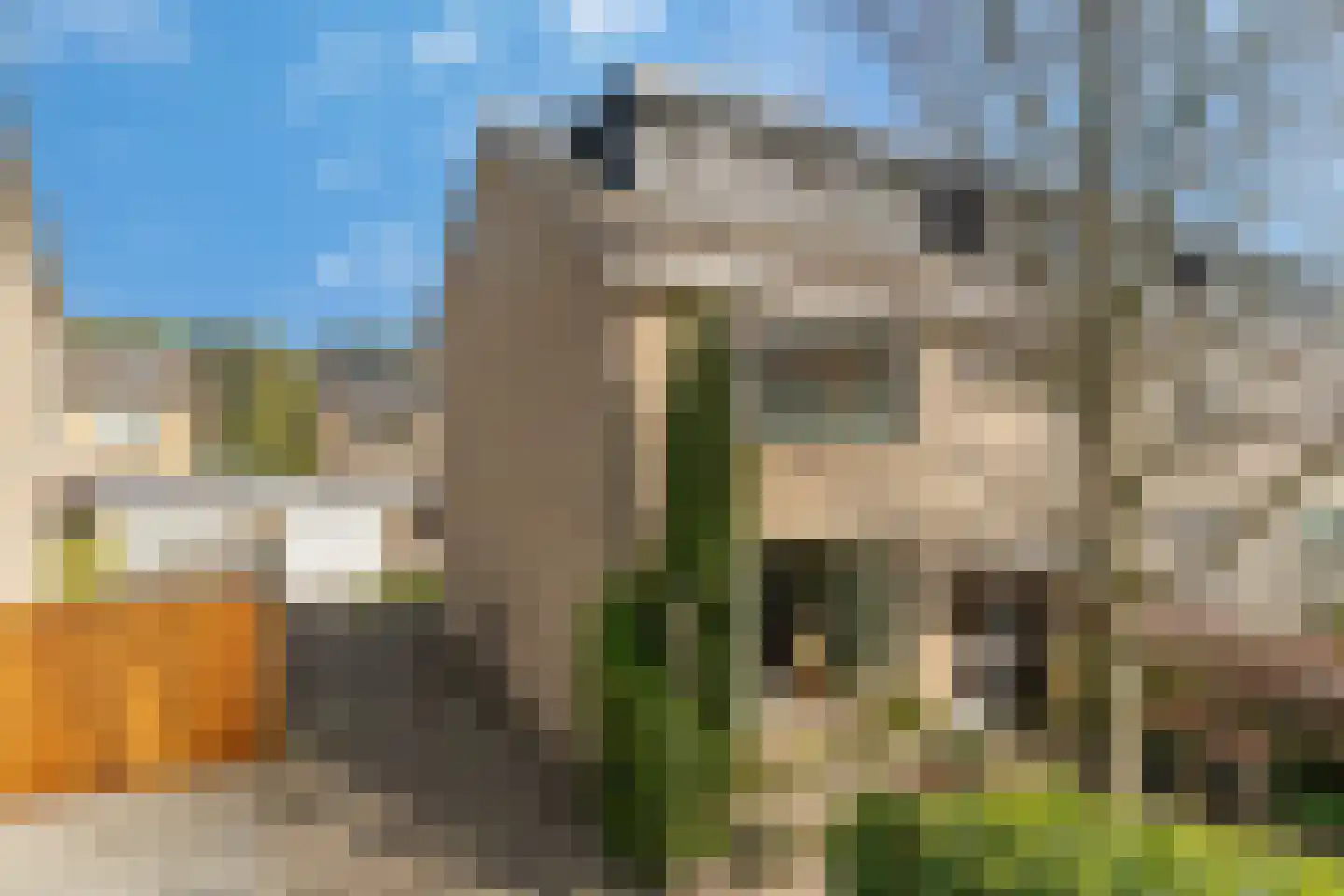 Kuyperstraat 22 Nunspeet thumbnail 6