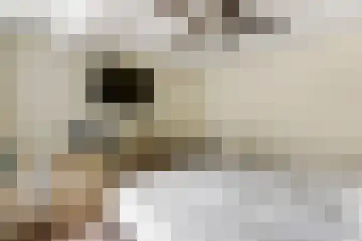 Kuyperstraat 27 Naaldwijk thumbnail 10