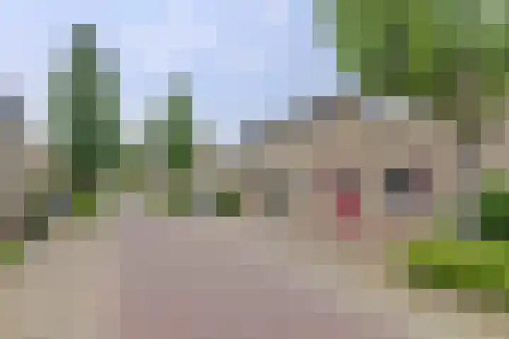 Kuyperstraat 27 Naaldwijk thumbnail 24