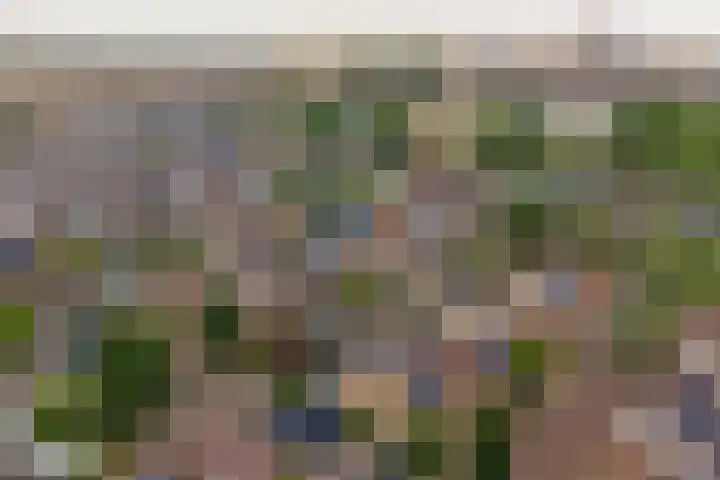 Kuyperstraat 27 Naaldwijk thumbnail 26