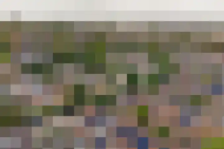 Kuyperstraat 27 Naaldwijk thumbnail 28