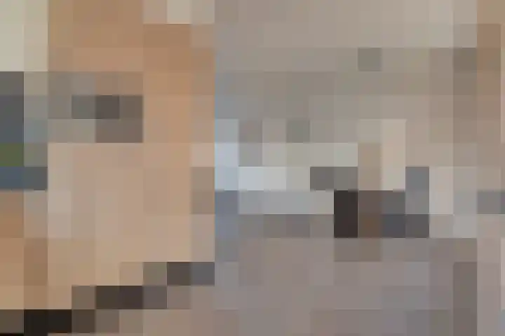 Kuyperstraat 28 Bergentheim thumbnail 12