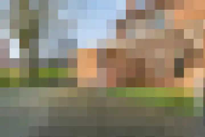 Kuyperstraat 28 Bergentheim thumbnail 34