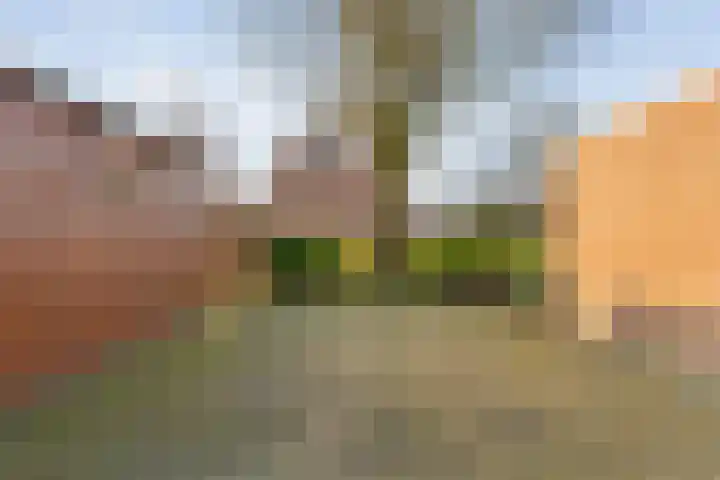 Kuyperstraat 28 Bergentheim thumbnail 35