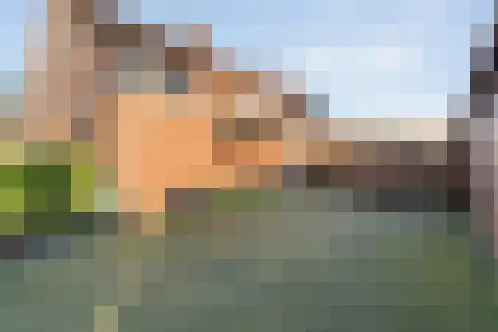 Kuyperstraat 28 Bergentheim thumbnail 36