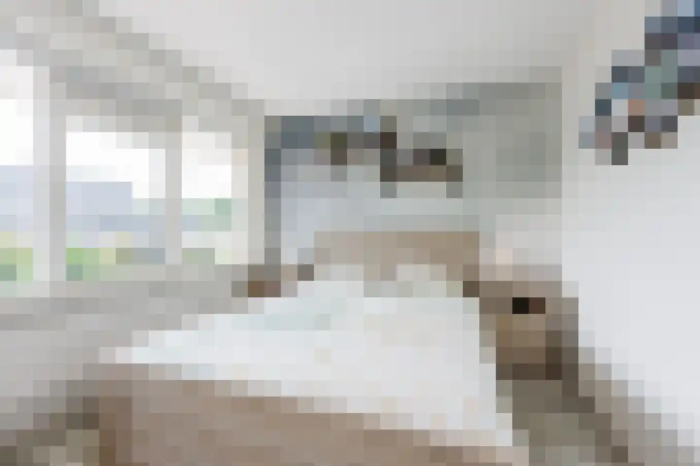 Kuyperstraat 38 Katwijk thumbnail 29