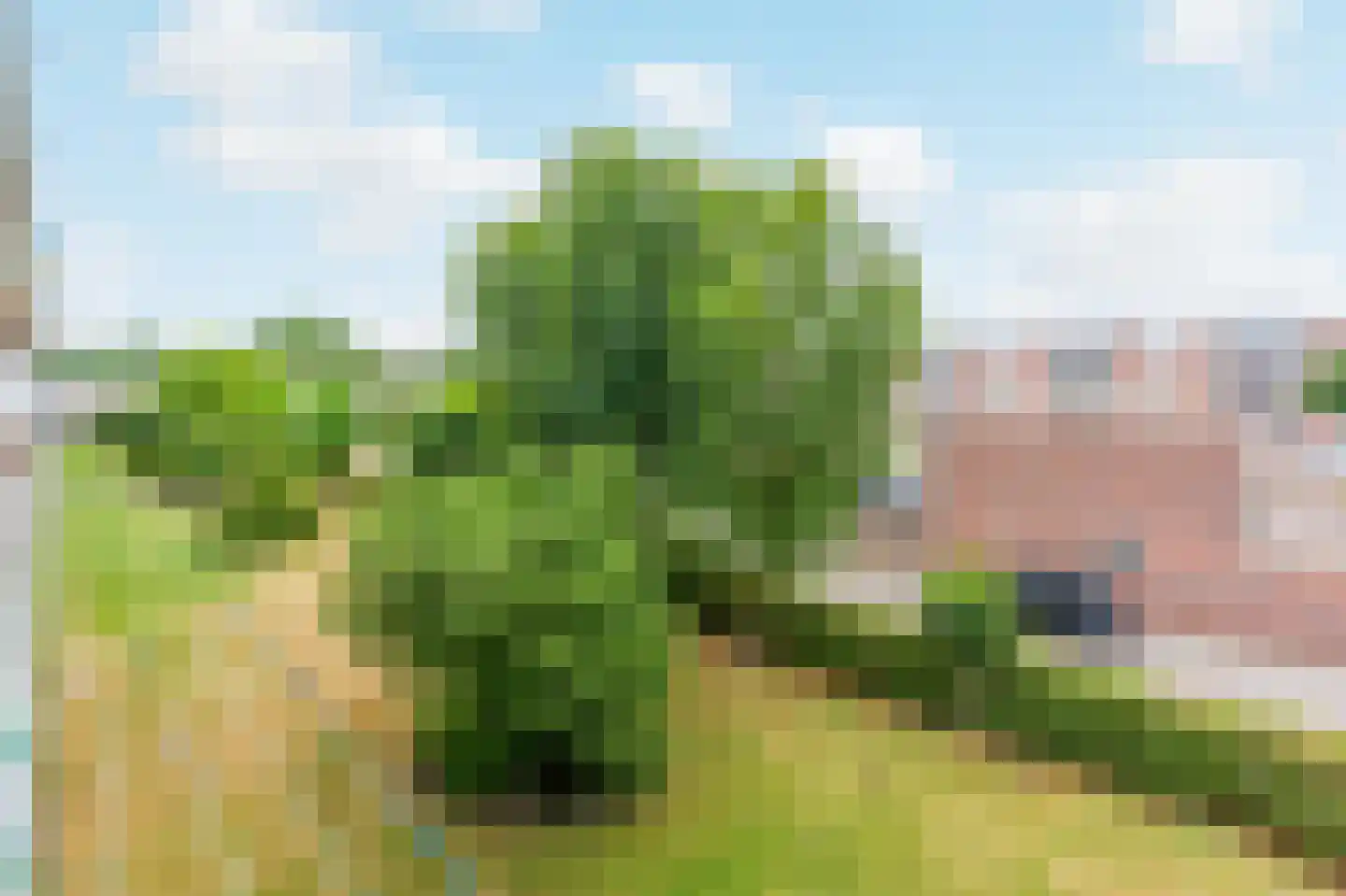 Kuyperstraat 38 Katwijk thumbnail 40