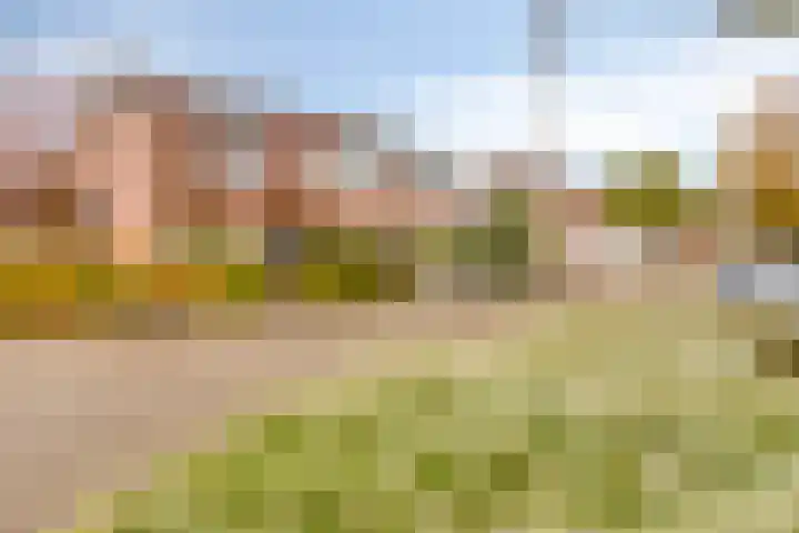 Kuyperstraat 5 Groenlo thumbnail 4