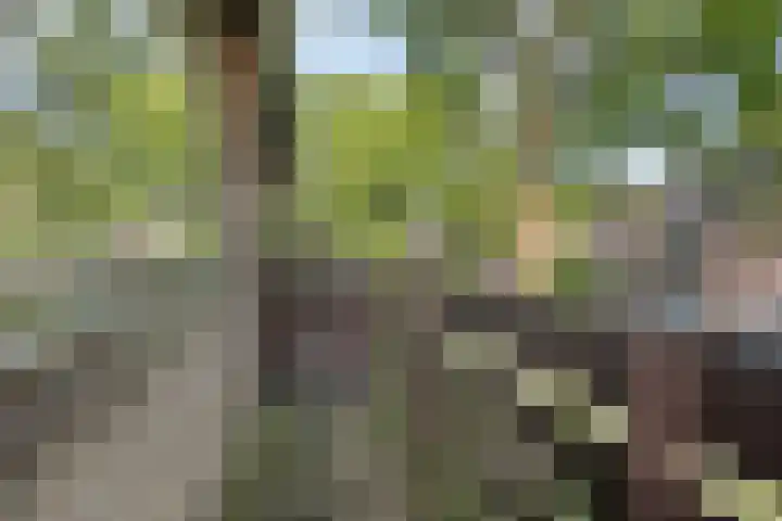 Kuyperstraat 5 Son en Breugel thumbnail 18