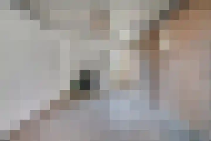 Kuyperstraat 5 Son en Breugel thumbnail 27