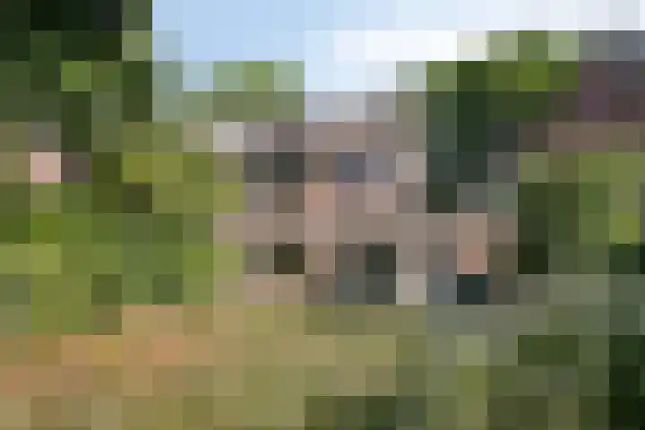 Kuyperstraat 5 Son en Breugel thumbnail 30