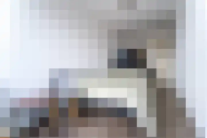 Kuyperstraat 62 Katwijk thumbnail 30