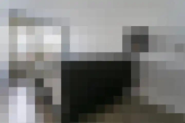 Kuyperstraat 62 Katwijk thumbnail 31