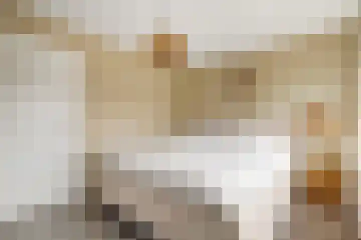 Kuyperstraat 74 Katwijk thumbnail 4