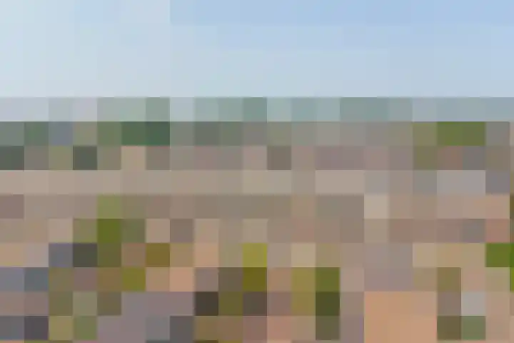 Kuyperstraat 74 Katwijk thumbnail 40