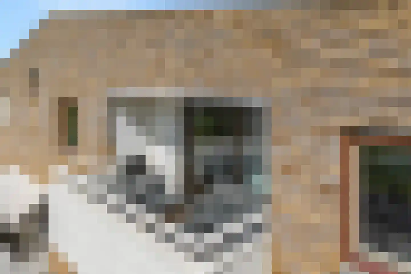 Kuyperstraat 76 Meppel thumbnail 33