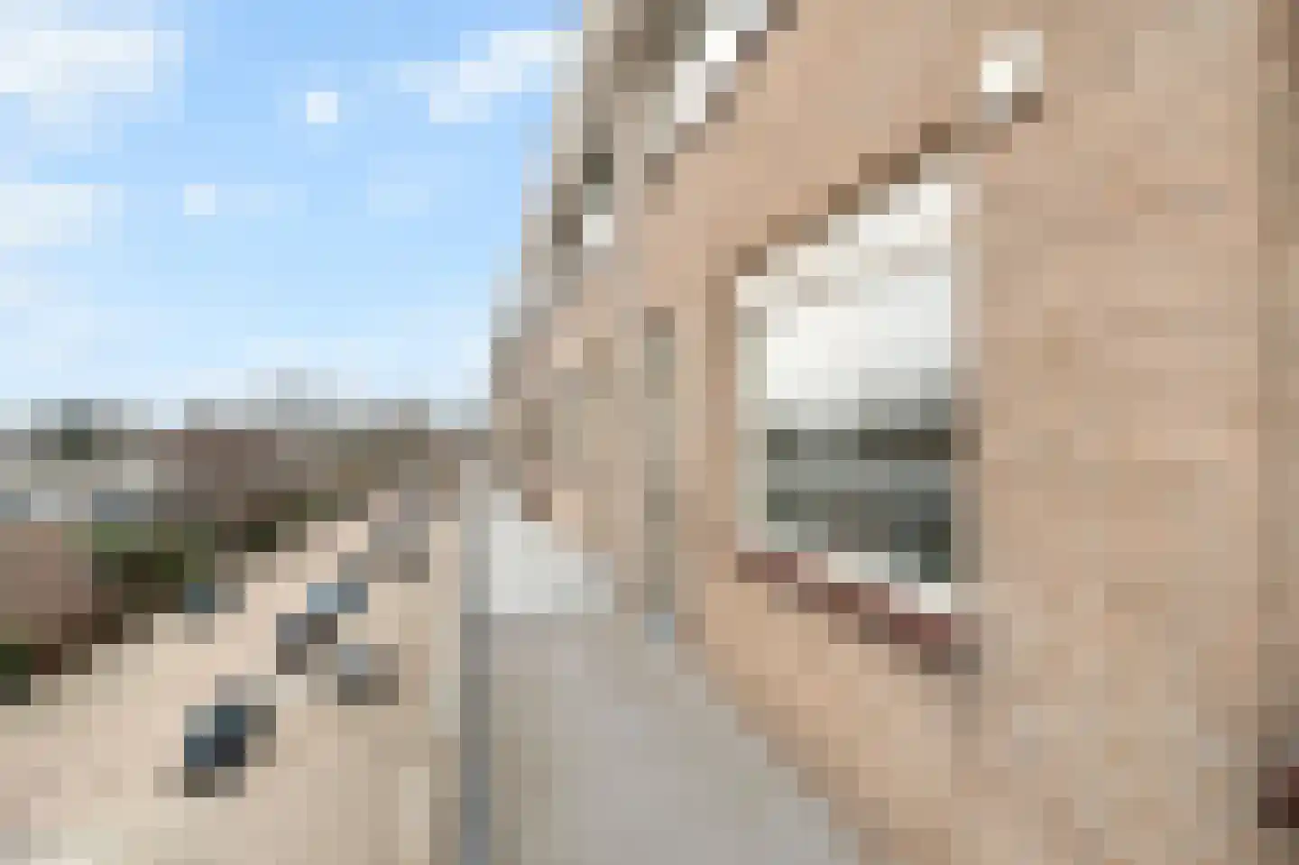Kuyperstraat 86 Katwijk thumbnail 8