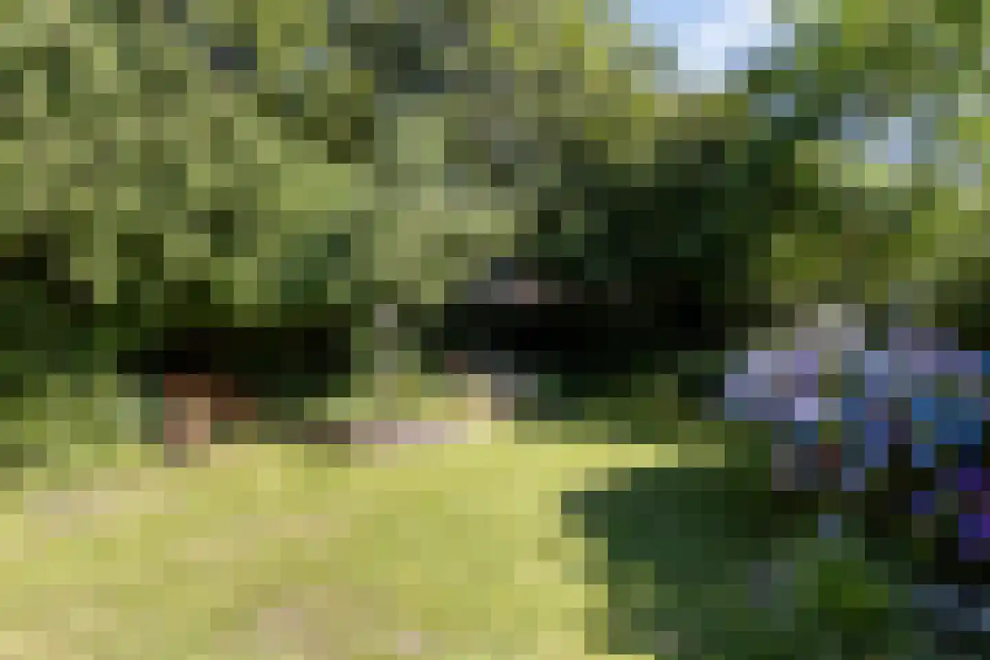 Kuyperstraat 9 Son en Breugel thumbnail 32