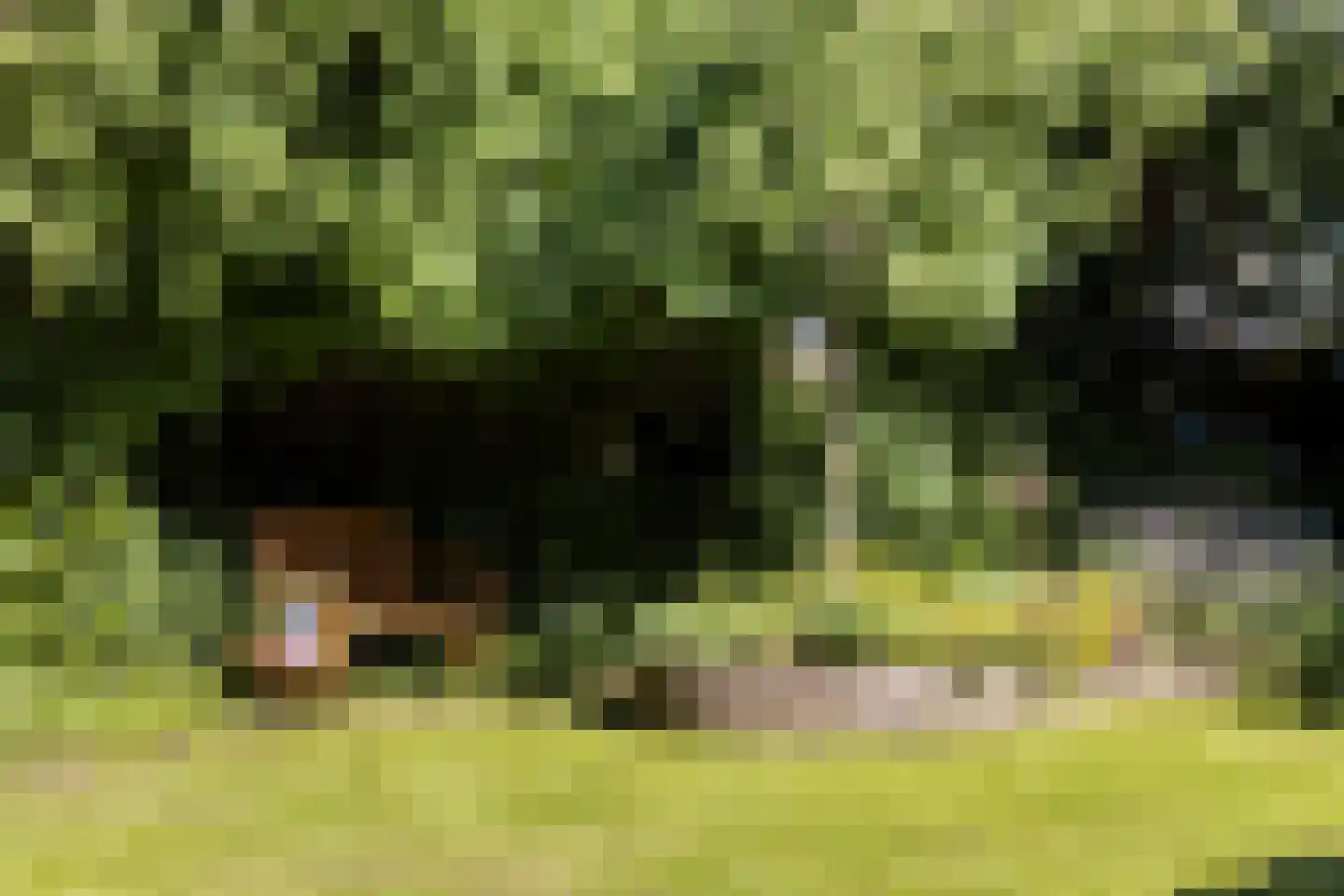 Kuyperstraat 9 Son en Breugel thumbnail 33