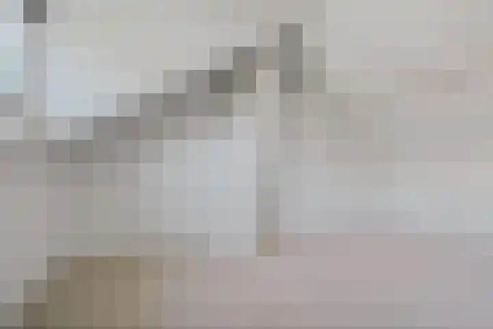 Kuypersweg 3 Renkum thumbnail 18
