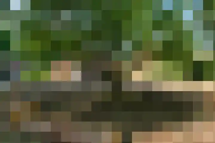 Kuypersweg 3 Renkum thumbnail 23