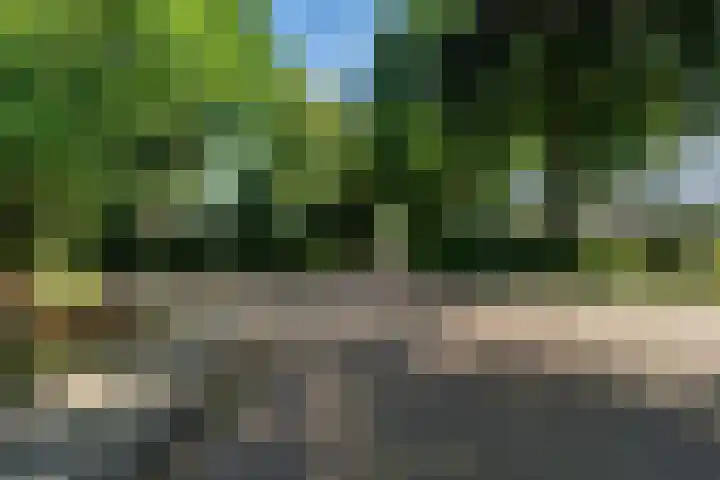 Kuypersweg 3 Renkum thumbnail 27