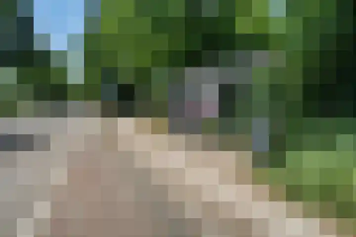 Kuypersweg 3 Renkum thumbnail 34