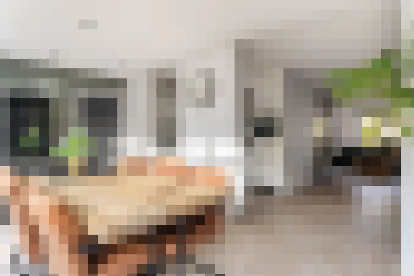 Kuyperveld 7 Erp thumbnail 13