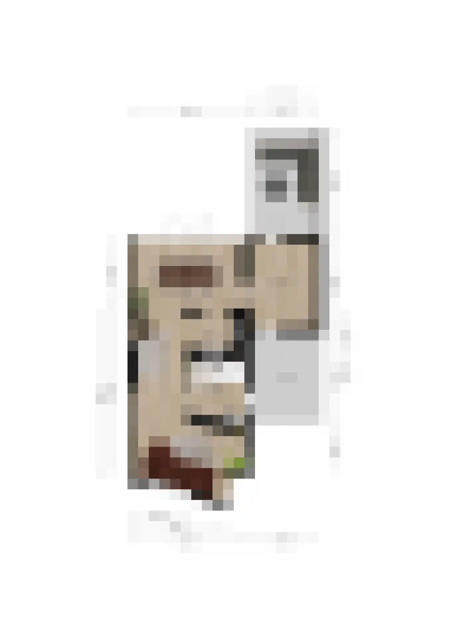 Kuyperveld 7 Erp thumbnail 38