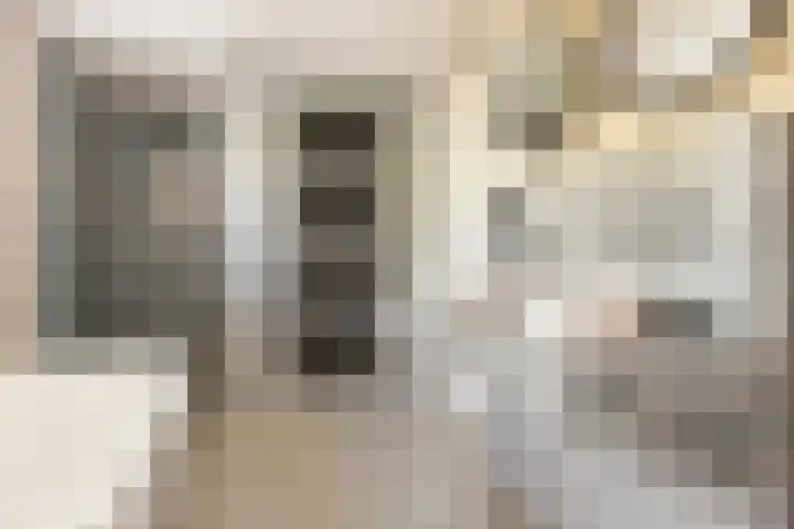 Kuzumerweg 6 Sebaldeburen thumbnail 14