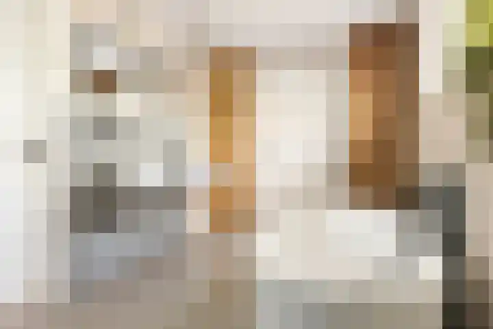 Kuzumerweg 6 Sebaldeburen thumbnail 15