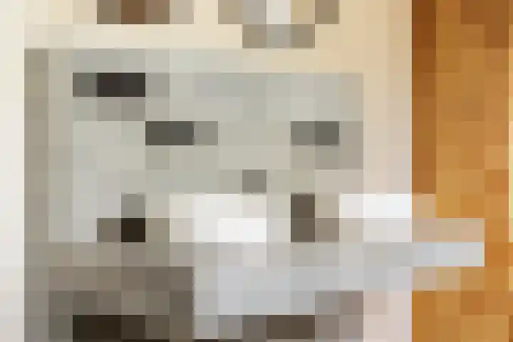 Kuzumerweg 6 Sebaldeburen thumbnail 16