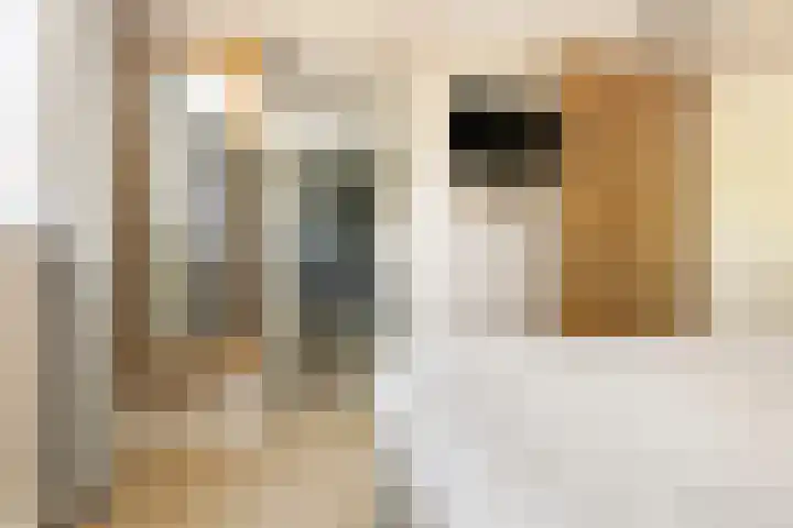 Kuzumerweg 6 Sebaldeburen thumbnail 19
