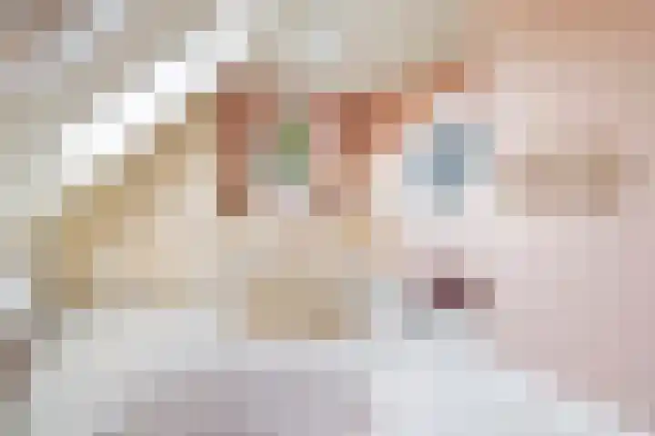 Kuzumerweg 6 Sebaldeburen thumbnail 23