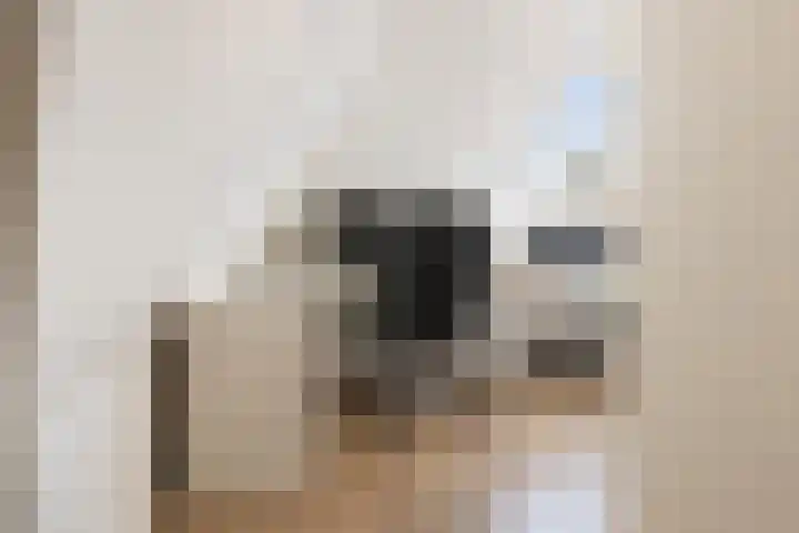 Kuzumerweg 6 Sebaldeburen thumbnail 25